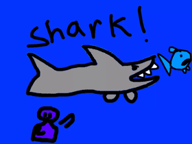 Shark! 1