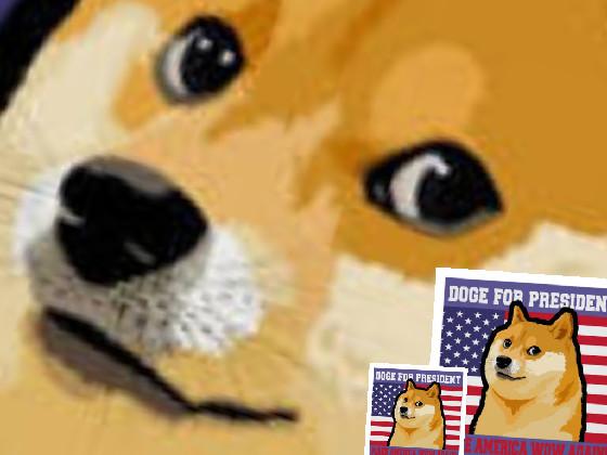 Musical Doge 1