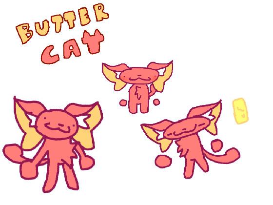 Butter Cat Disigns