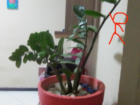 add your oc in my plant