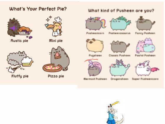 	SELCT ANYTHING PUSHEENS OR PIES		