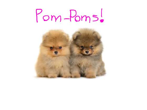 YES POM -POMS!