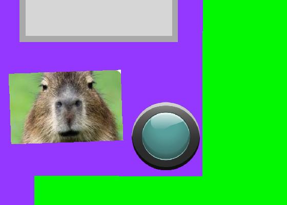 capybara clicker 1