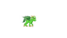 Dragon pet