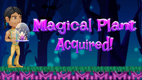 Project_The Magical Plant