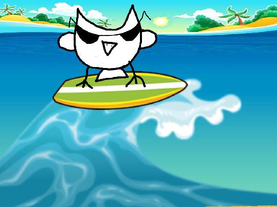 Surfing owl