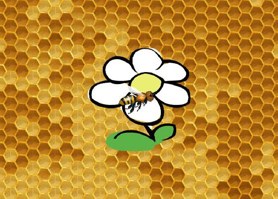 honeycombee 1