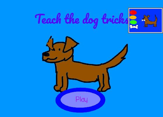 Teach The Dog Tricks!