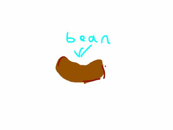 bean