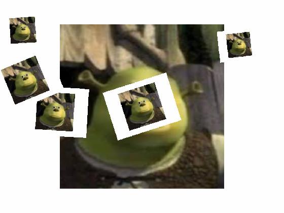 flying Shreks