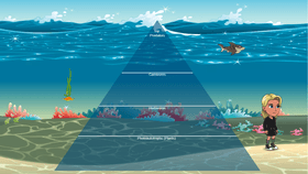 Ocean Ecological Pyramid