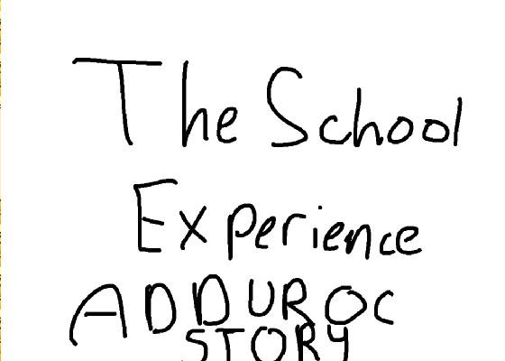 the school experience 1