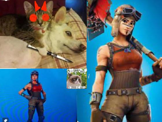 The renegade raider cat memes