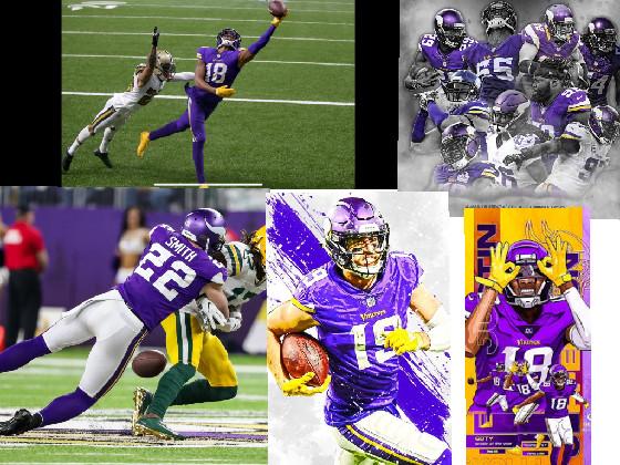 Minnesota Vikings 1