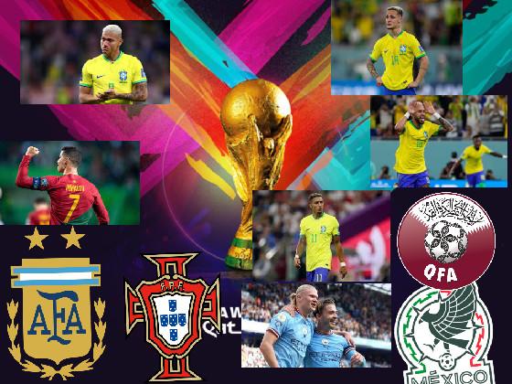 fifa World Cup Qatar 2022  1 1