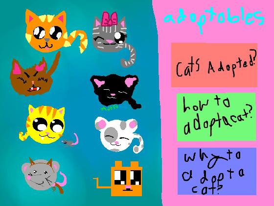 adopt a cat 1