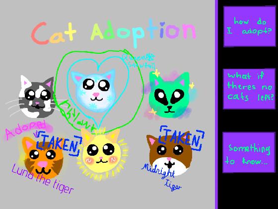Cat adoption 1 1 1