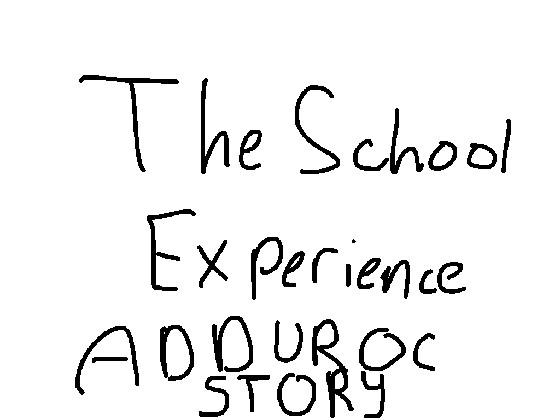 the school experience 1 1