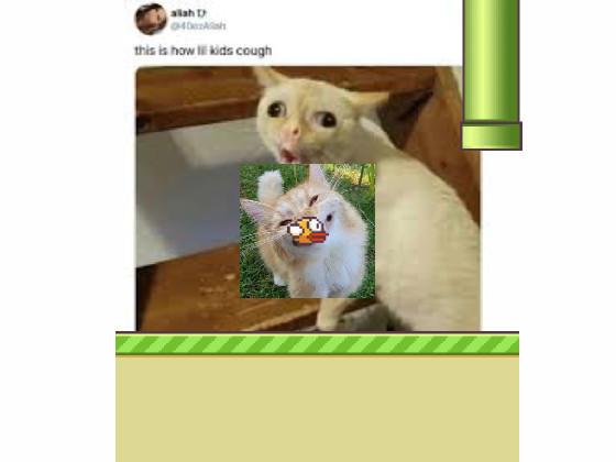 Flappy Bird Cat