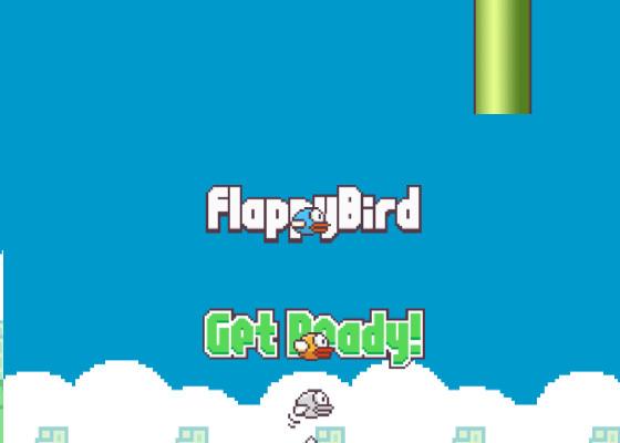 Flappy Bird 28