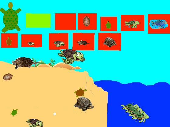 Turtle Clicker!  1