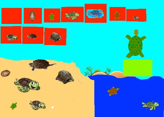 Turtle Clicker!  1