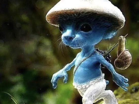 Smurf Cat  1