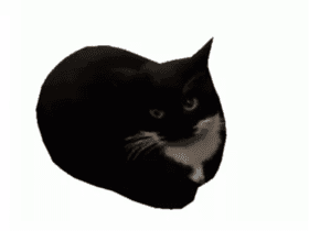 maxwell the cat animated