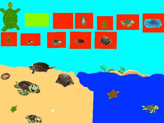 Turtle Clicker!  1