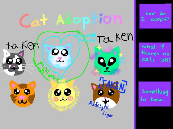 Cat adoption 1 1 2 1