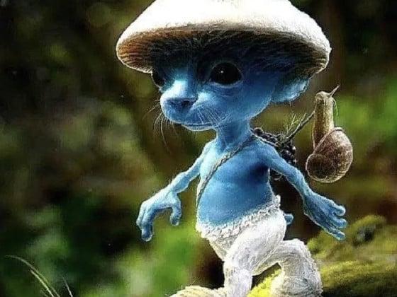 Smurf Cat  1 1