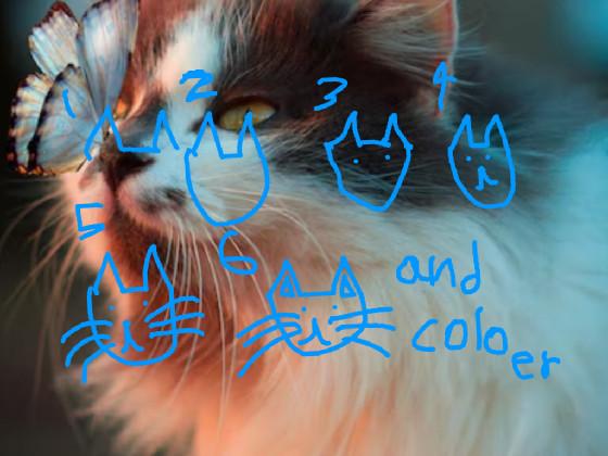 how to draw a cat