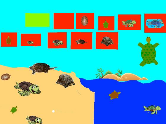 Turtle Clicker!  1