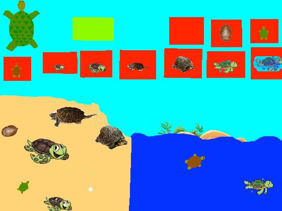 Turtle Clicker mega hacked