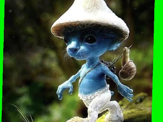 Smurf cat  1