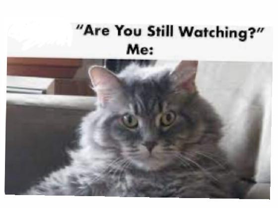 are you watching me