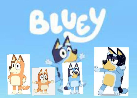 BLUEY!!!!