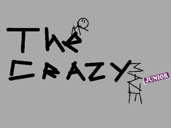 THE CRAZY MAZE JUNIOR