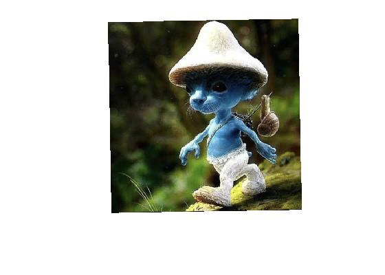 Smurf Cat  1 1 1