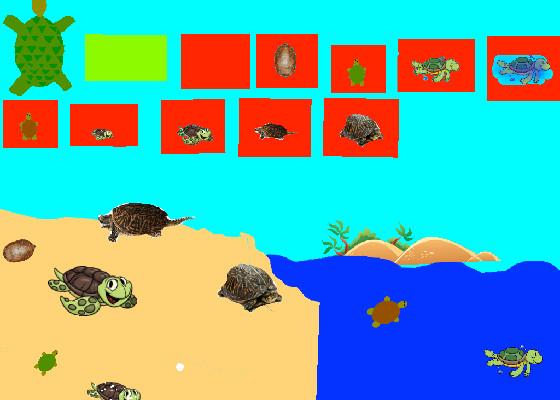 Turtle Clicker!  2