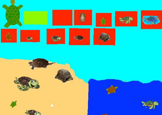 Turtle Clicker!  1