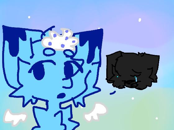 blueberry cat animation!