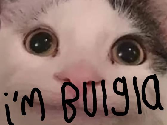 I’m Bulgla! 1