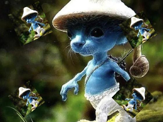 BLUE SMURF CAT 💙💙 1