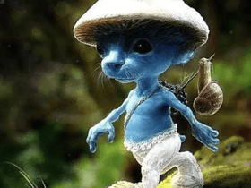 Smurf Cat  1 1