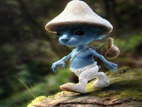 Smurf Cat