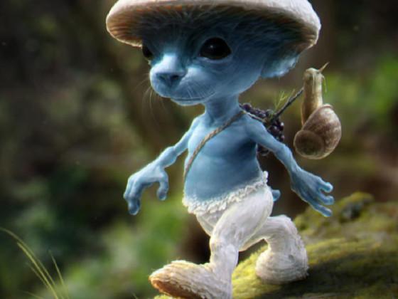 Smurf Cat