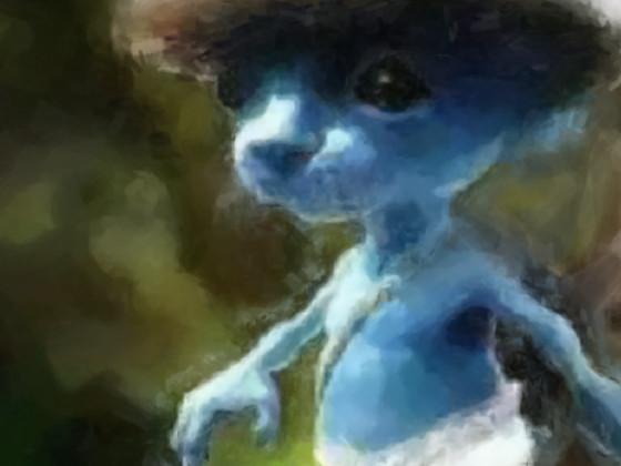 Smurf Cat  1 1 1 1
