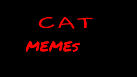 Cat memes