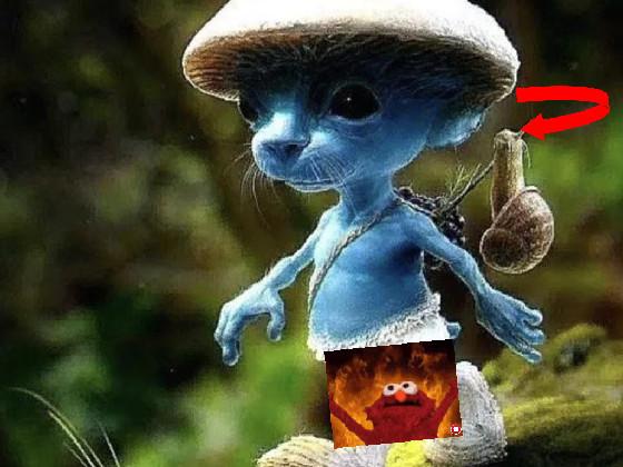 elmo sumining smurf cat